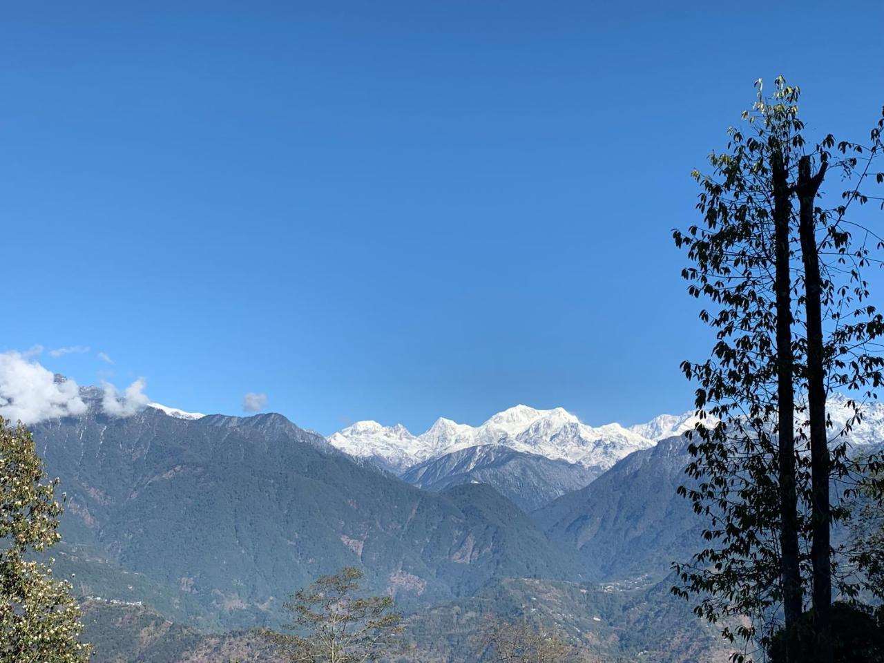The Aryan Regency Hotel Pelling Eksteriør billede